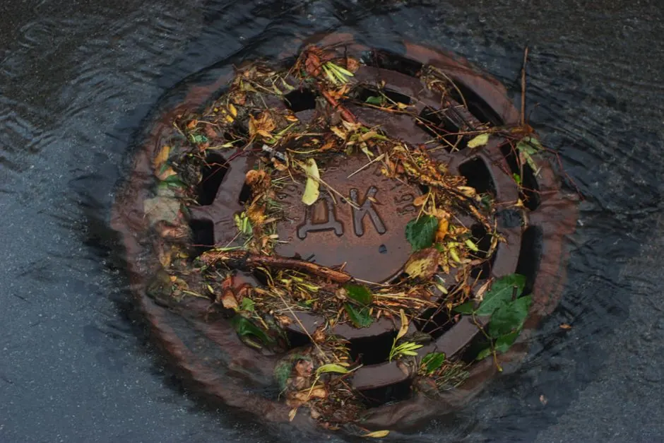 Close-up of a storm drain covered with leaves and debris during rainfall.